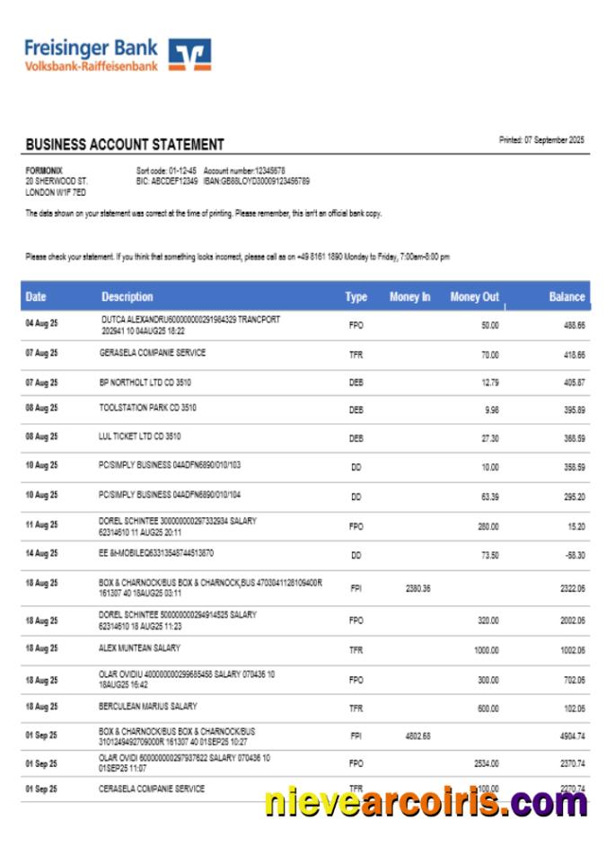 Freisinger Bank account business statement